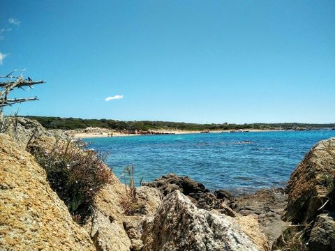 Camping Kevano Plage - Camping Corse du Sud - Image N°2