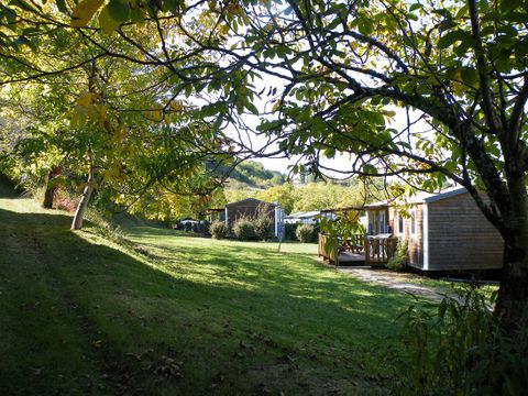 Camping Noix de Pecan'y - Camping Dordogne - Image N°8