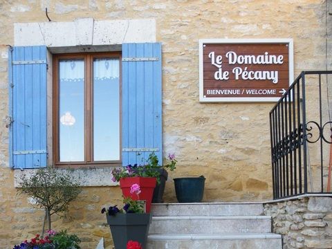 Camping Noix de Pecan'y - Camping Dordogne - Image N°10