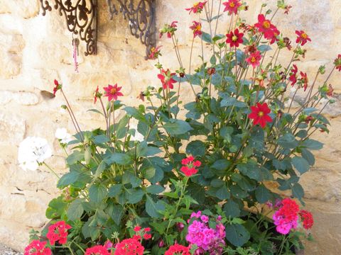 Camping Noix de Pecan'y - Camping Dordogne - Image N°28