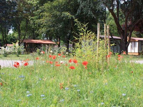 Camping Portes d'Ariège - Camping Ariège - Image N°39