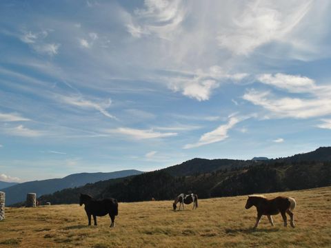 Camping Portes d'Ariège - Camping Ariège - Image N°26