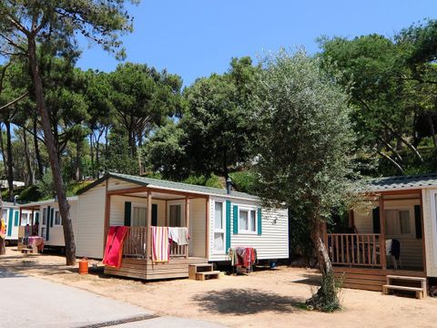MOBILHOME 4 personnes - MEDITERRANI 4 Pax