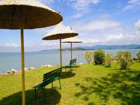 Camping Trasimeno  - Camping Pérouse - Image N°19