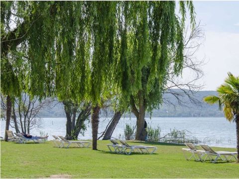 Camping Trasimeno  - Camping Pérouse - Image N°2