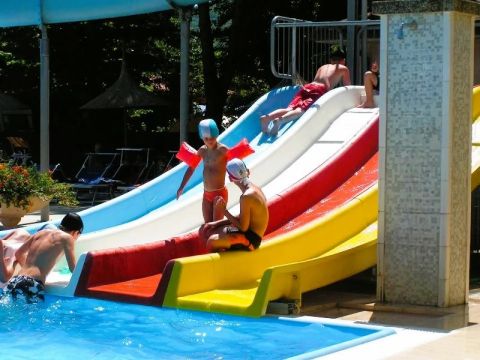 Camping Trasimeno  - Camping Pérouse - Image N°5