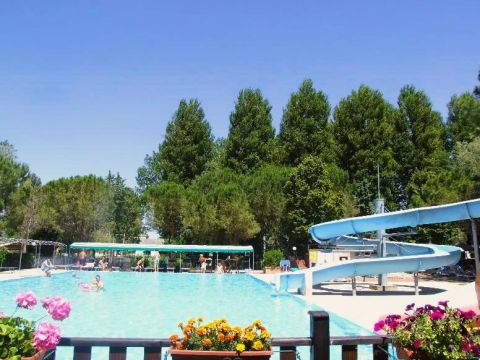 Camping Trasimeno  - Camping Pérouse - Image N°4