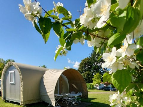 TENTE 4 personnes - Tente Ciela Coco Sweet - 2 chambres (sans sanitaire)