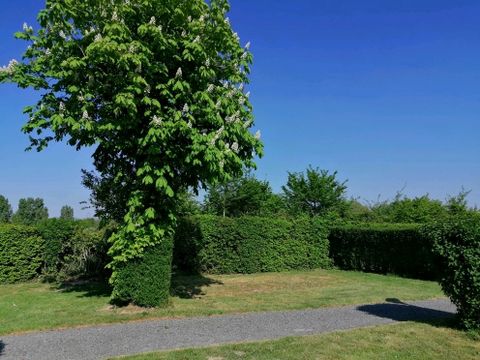 Camping Sites et Paysages - Camping de la Baie - Camping Somme - Image N°21