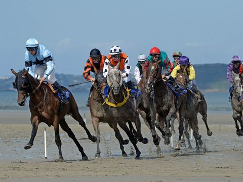 Camping Village de l'Armorique - Camping Côtes-d'Armor - Image N°27