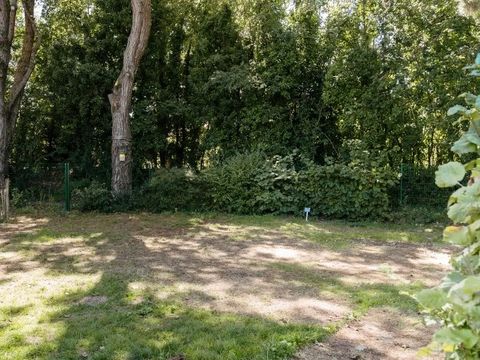 Emplacement - Forfait Confort (1 tente, caravane ou camping-car / 1 voiture / électricité)