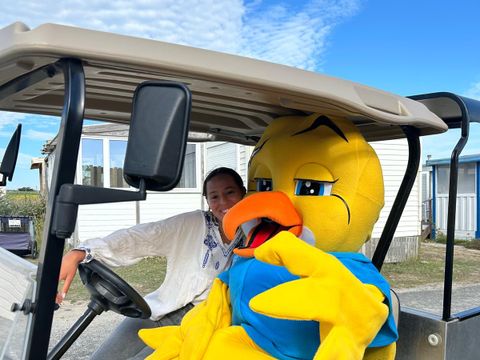 Camping Paradis - La Baie de Ploemeur - Camping Morbihan - Image N°17