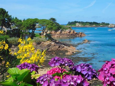 Camping West  - Camping Côtes-d'Armor - Image N°57