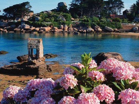 Camping West  - Camping Côtes-d'Armor - Image N°24