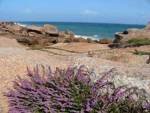 Camping West  - Camping Côtes-d'Armor - Image N°62