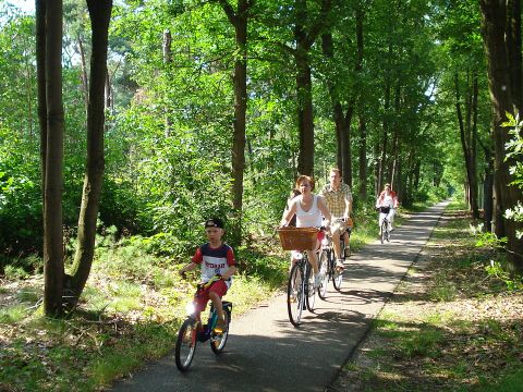 Camping Paradis Mer d'Iroise - Camping Finistère - Image N°26
