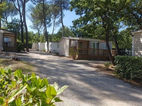 Mobilhome 4 personnes - Grand Confort Sun Roller 1ère génération