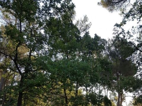 MOBILHOME 6 personnes - Maxi Confort IRM Cordelia 6 pers 3Ch - CLIM