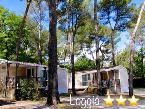 MOBILHOME 4 personnes - Maxi Confort IRM Loggia 4 pers 2Ch - CLIM