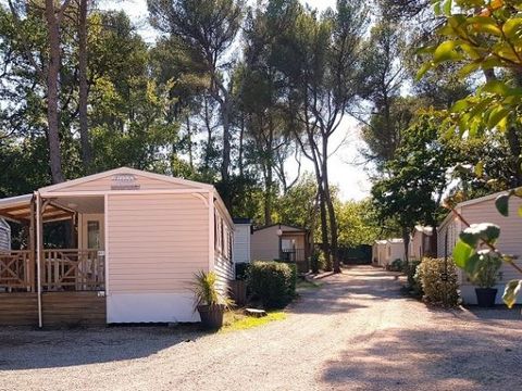 MOBILHOME 4 personnes - Maxi Confort IRM Loggia 4 pers 2Ch - CLIM