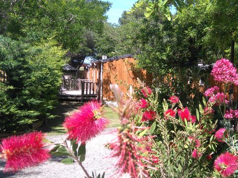 Mobilhome 4 personnes - Lodge Standard 4 p