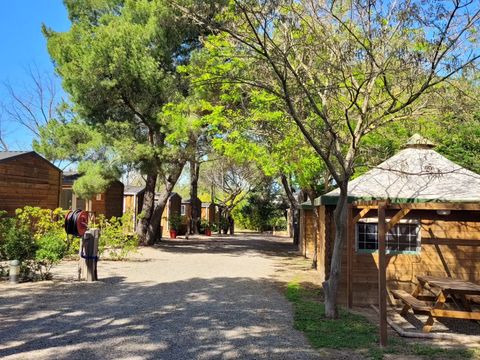 Camping les Cigales - Camping Hérault - Image N°10