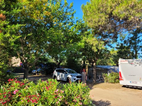 Camping les Cigales - Camping Hérault - Image N°16