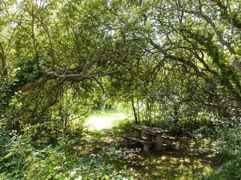 Camping maeva Respire Le Domaine de Mesqueau - Camping Finistère - Image N°19