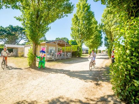 Camping le Moteno - Camping Morbihan - Image N°8