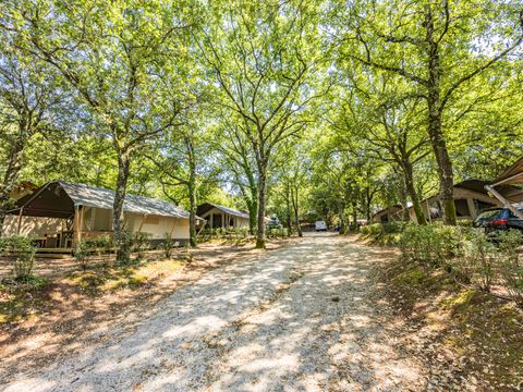 Tente en toile et en bois 5 personnes - Lanterna - Tente Safari Confort - Climatisation