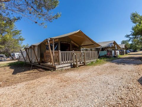 Tente en toile et en bois 5 personnes - Lanterna - Tente Safari Relax