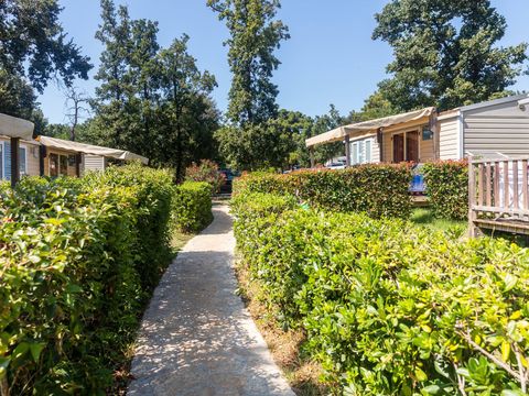 Valamar Camping Lanterna - Camping Istrie - Image N°26