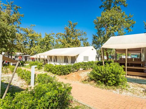 Tente en toile et en bois 4 personnes - Bijela Uvala - Tente safari + sanitaires