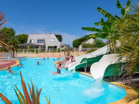 Flower Camping La Grande Plage - Camping Finistère - Image N°7