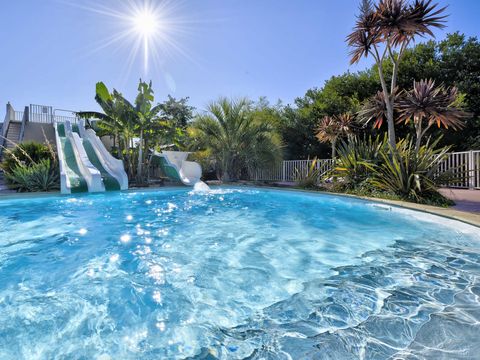 Flower Camping La Grande Plage - Camping Finistère - Image N°3
