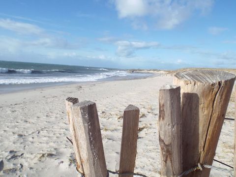 Flower Camping La Grande Plage - Camping Finistère - Image N°17