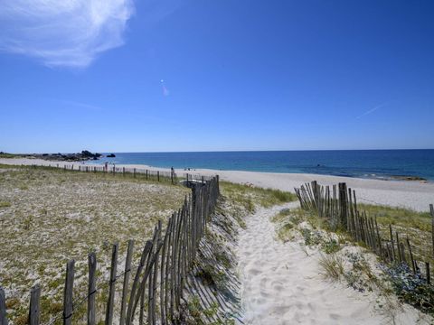 Flower Camping La Grande Plage - Camping Finistère - Image N°40