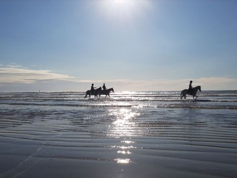 Camping Le Saint Laurent - Camping Morbihan - Image N°12