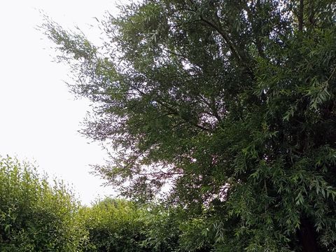 Camping de La Mer - Camping Finistère - Image N°31