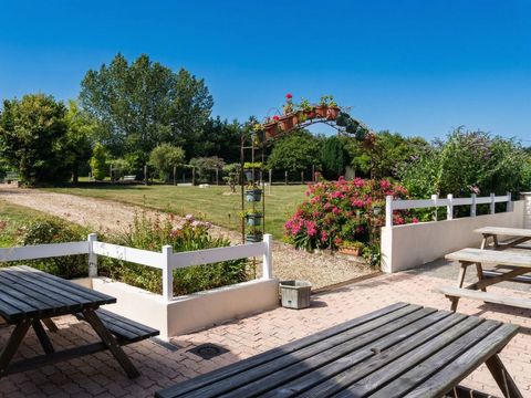 Camping Domaine du Launay - Camping Côtes-d'Armor - Image N°5