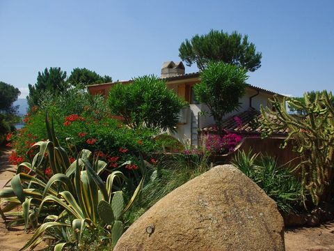 Résidence Le Village Marin - Camping Corse du Sud - Image N°8