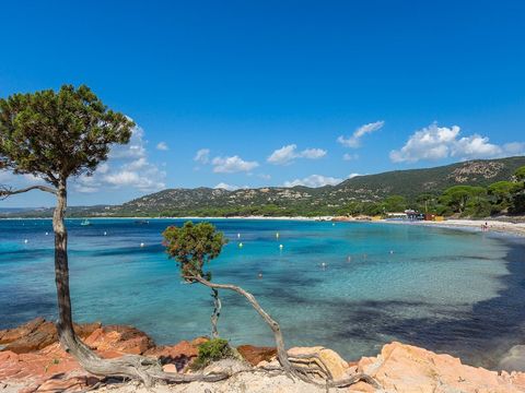 Résidence Le Village Marin - Camping Corse du Sud - Image N°12