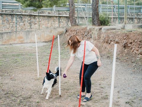 Camping Rais Gerbi - Camping Palerme - Image N°92