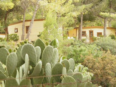 MOBILHOME 2 personnes - SMALL