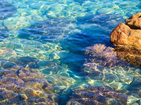 Camping Rais Gerbi - Camping Palerme - Image N°27