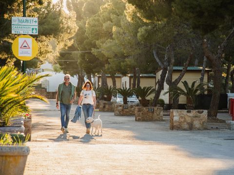 Camping Rais Gerbi - Camping Palerme - Image N°44