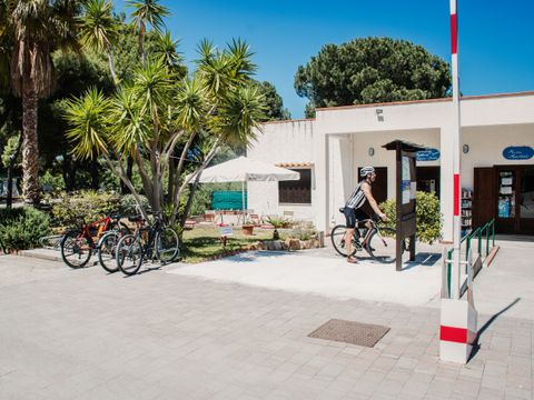 Camping Rais Gerbi - Camping Palerme - Image N°6