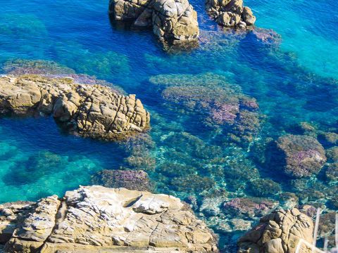 Camping Rais Gerbi - Camping Palerme - Image N°26