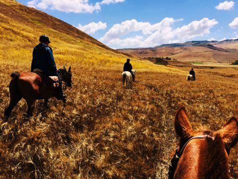 Camping Rais Gerbi - Camping Palerme - Image N°54