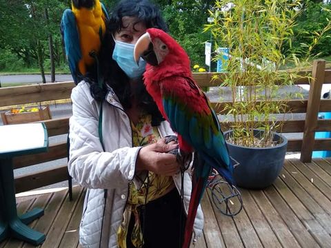 MOBILHOME 6 personnes - Mobilhome 6 personnes